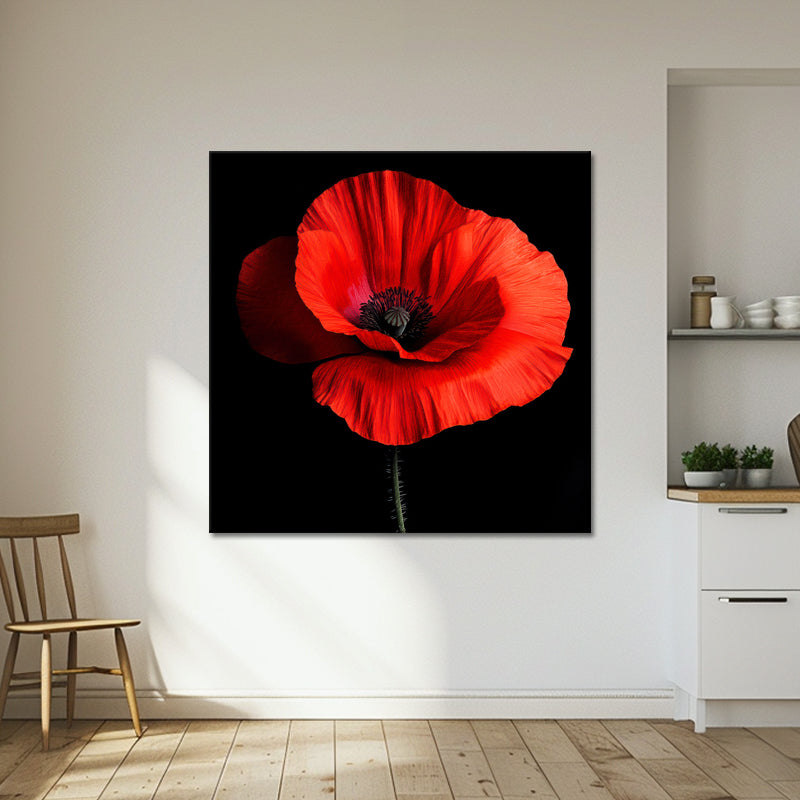 Klaproos Art II