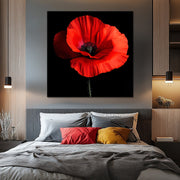 Klaproos Art II