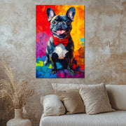 Französische Bulldogge