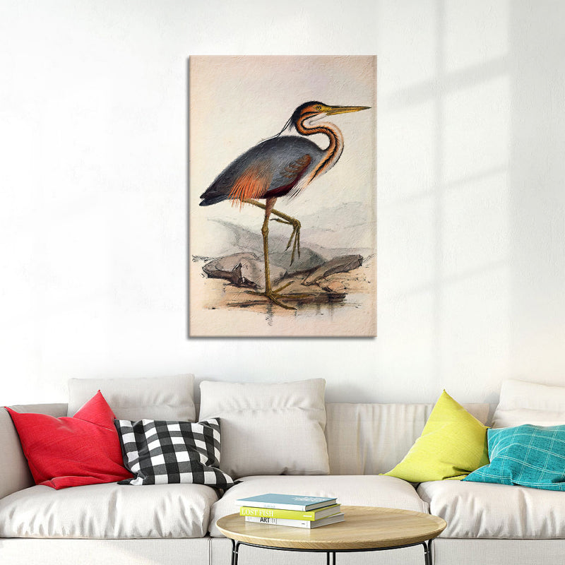Ooievaar vogel