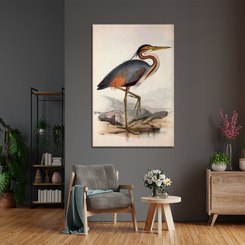 Ooievaar vogel
