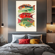 Fische des Great Barrier Reefs - William Saville-Kent