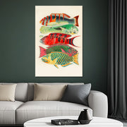 Fische des Great Barrier Reefs - William Saville-Kent
