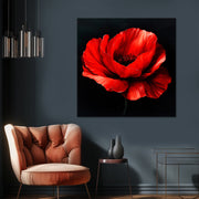 Klatschmohn Art