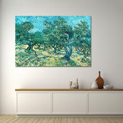 Olive Grove - Van Gogh