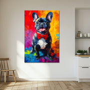 Französische Bulldogge