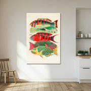 Fische des Great Barrier Reefs - William Saville-Kent
