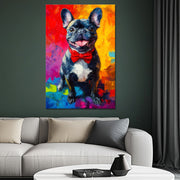 Französische Bulldogge