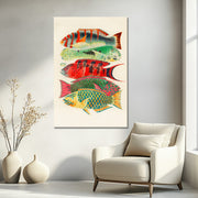 Fische des Great Barrier Reefs - William Saville-Kent