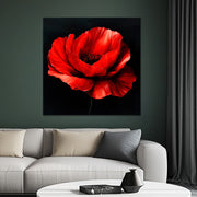 Klatschmohn Art
