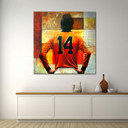 Johan Cruijff Nr. 14