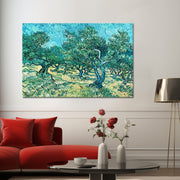 Olive Grove - Van Gogh