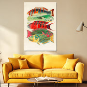 Fische des Great Barrier Reefs - William Saville-Kent