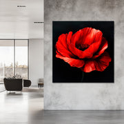 Klatschmohn Art