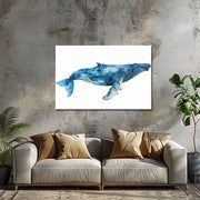 de blauwe Walvis
