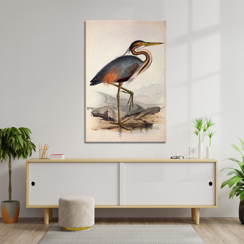 Ooievaar vogel