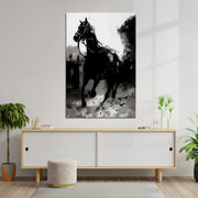 Pferd 1919