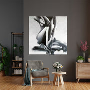 The Venus