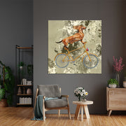 Acrobat op fiets