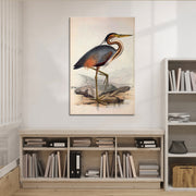 Ooievaar vogel