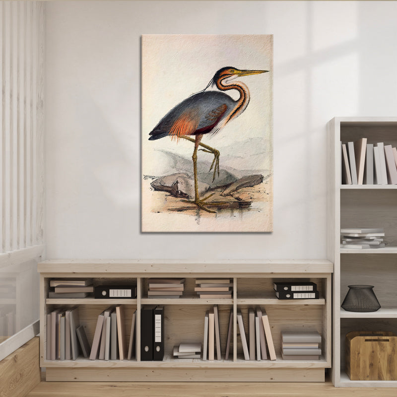 Ooievaar vogel