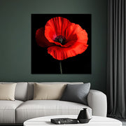 Klaproos Art II