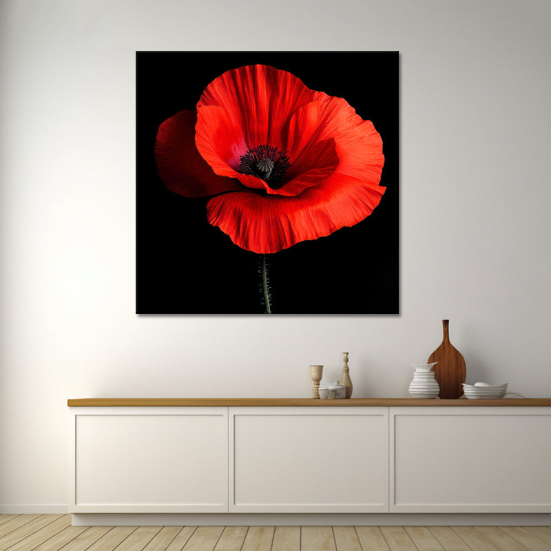 Klaproos Art II