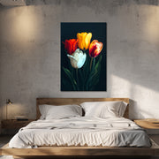 Hollandse tulpen