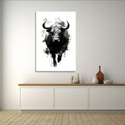 Stier in Schwarz-Weiß