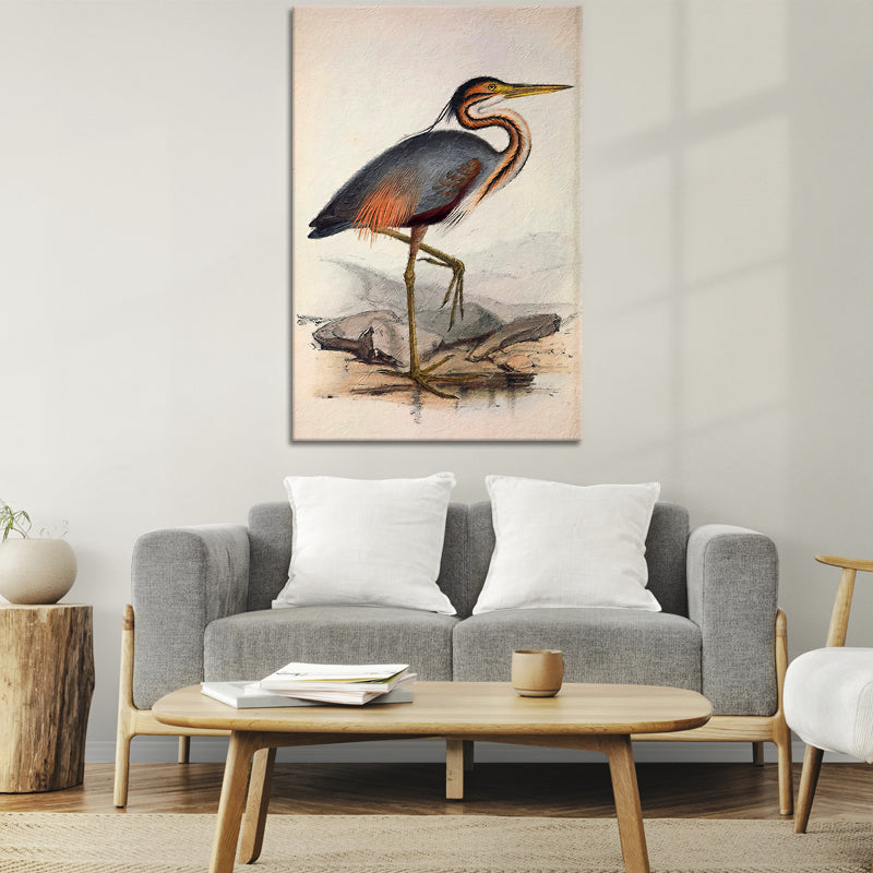 Ooievaar vogel