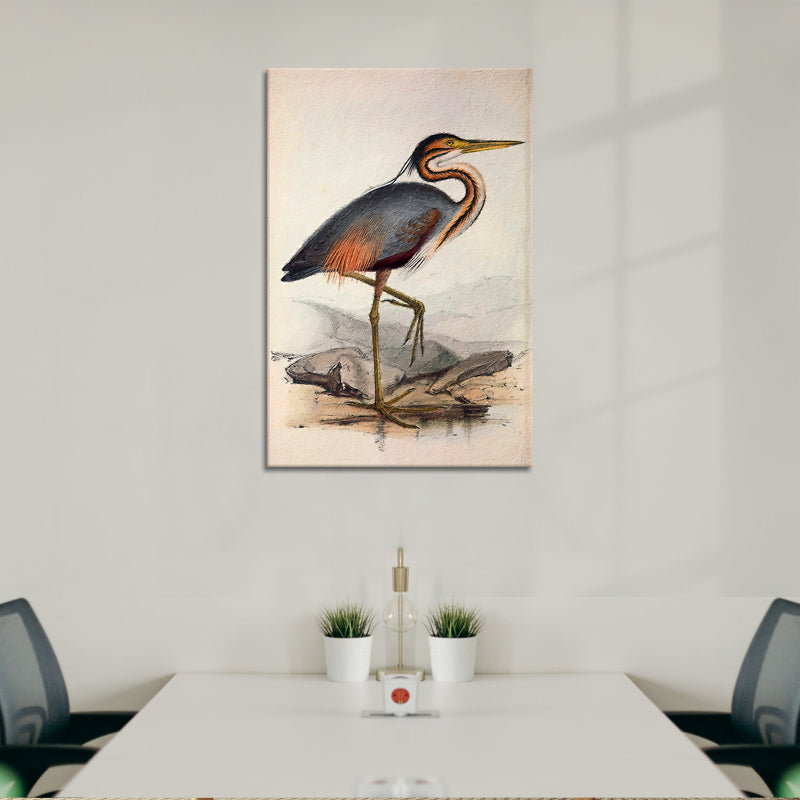Ooievaar vogel