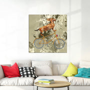 Acrobat op fiets