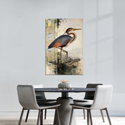 Reiher Vogel