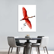 Vliegende Flamingo