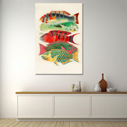 Fische des Great Barrier Reefs - William Saville-Kent