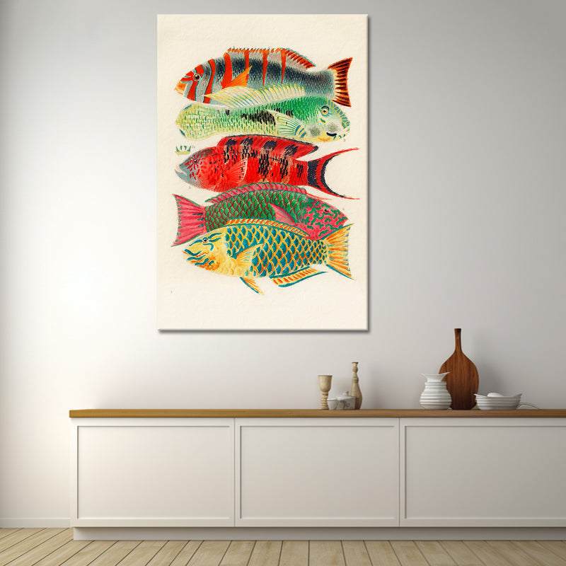 Fische des Great Barrier Reefs - William Saville-Kent