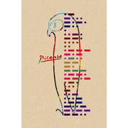 Picasso ( inspiratie)
