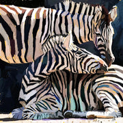 Zebra Family