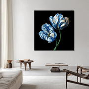 Delfter blaue Tulpen