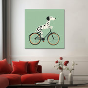 Hund auf dem Fahrrad