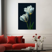 Elegante Witte Tulpen