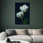 Elegante Witte Tulpen