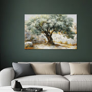 Majestueuze Olijfboom