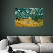 Olive Trees - Van Gogh