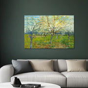 Obstgarten mit blühenden Aprikosenbäumen – Van Gogh