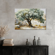 Majestueuze Olijfboom