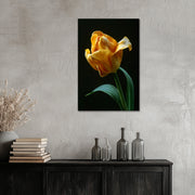 Gelbe Tulpe