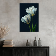 Elegante Witte Tulpen
