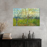 Obstgarten mit blühenden Aprikosenbäumen – Van Gogh