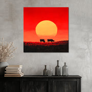 Käfige bei Sonnenuntergang